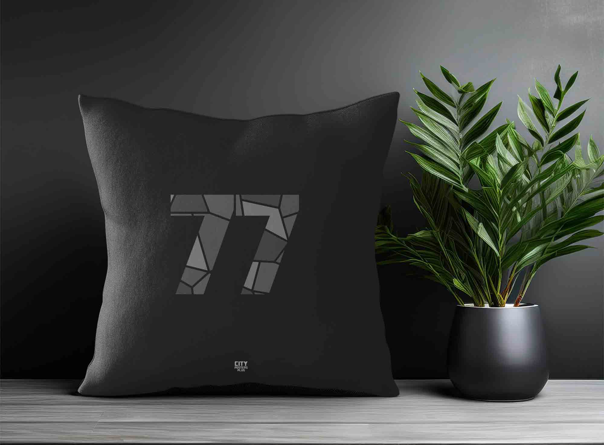 Print Deliver Plus 77 Number Square & Rectangle Pillow Cases
