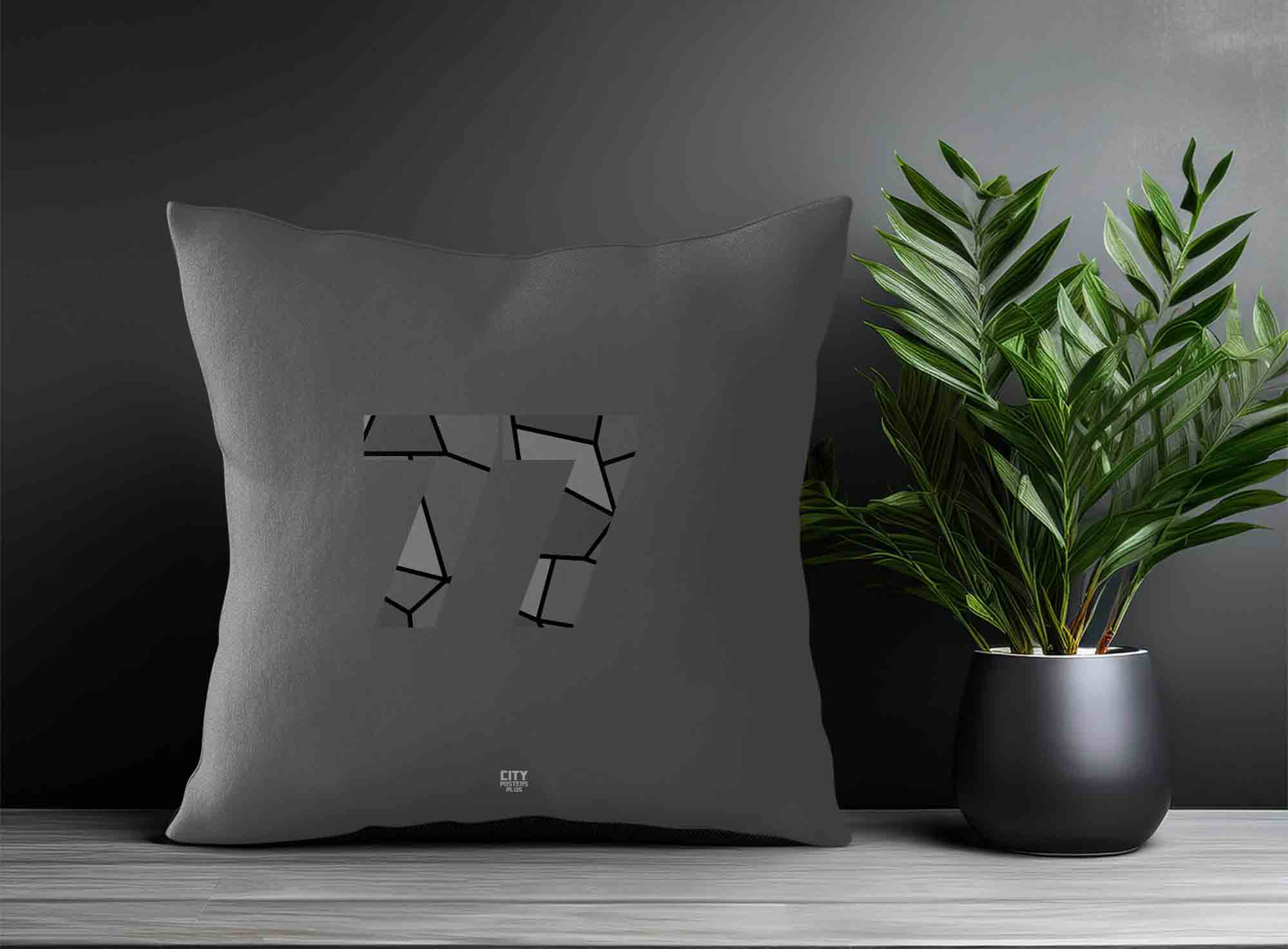 Print Deliver Plus 77 Number Square & Rectangle Pillow Cases