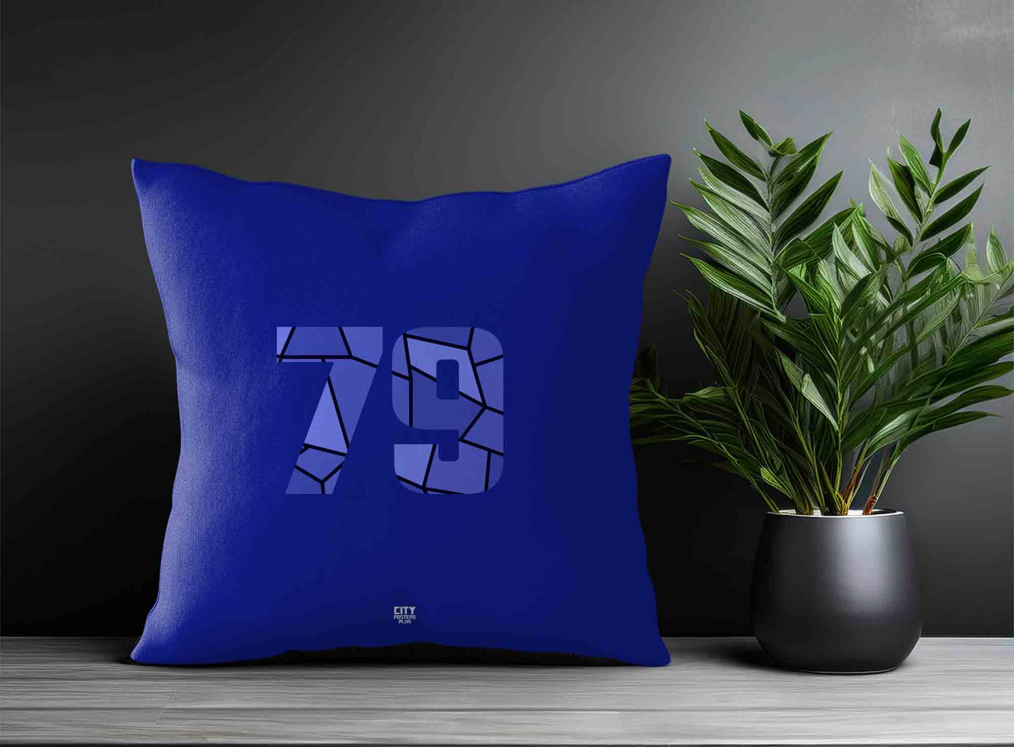 Print Deliver Plus 79 Number Square & Rectangle Pillow Cases
