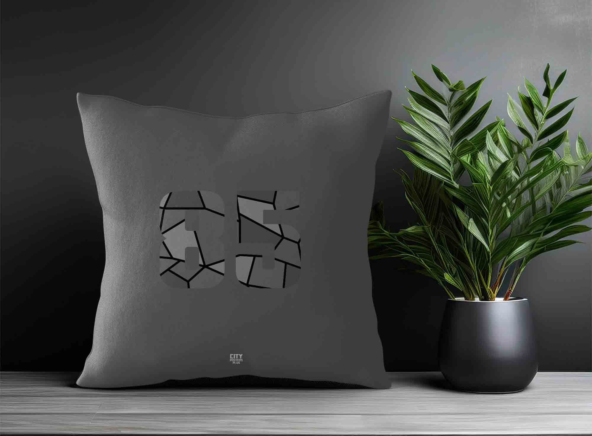 Print Deliver Plus 85 Number Square & Rectangle Pillow Cases