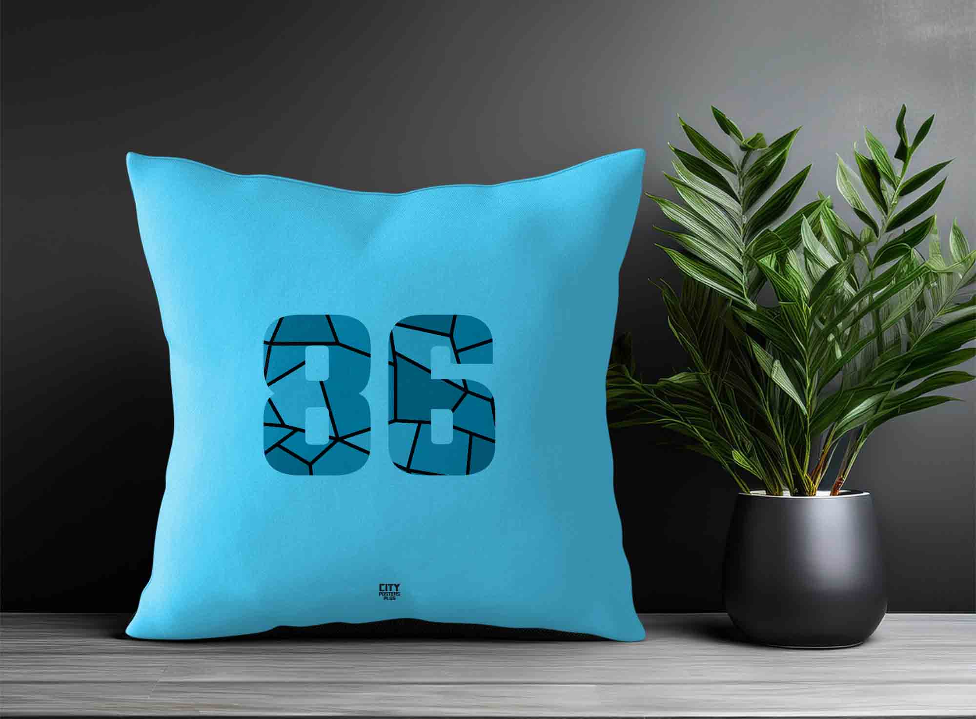 Print Deliver Plus 86 Number Square & Rectangle Pillow Cases