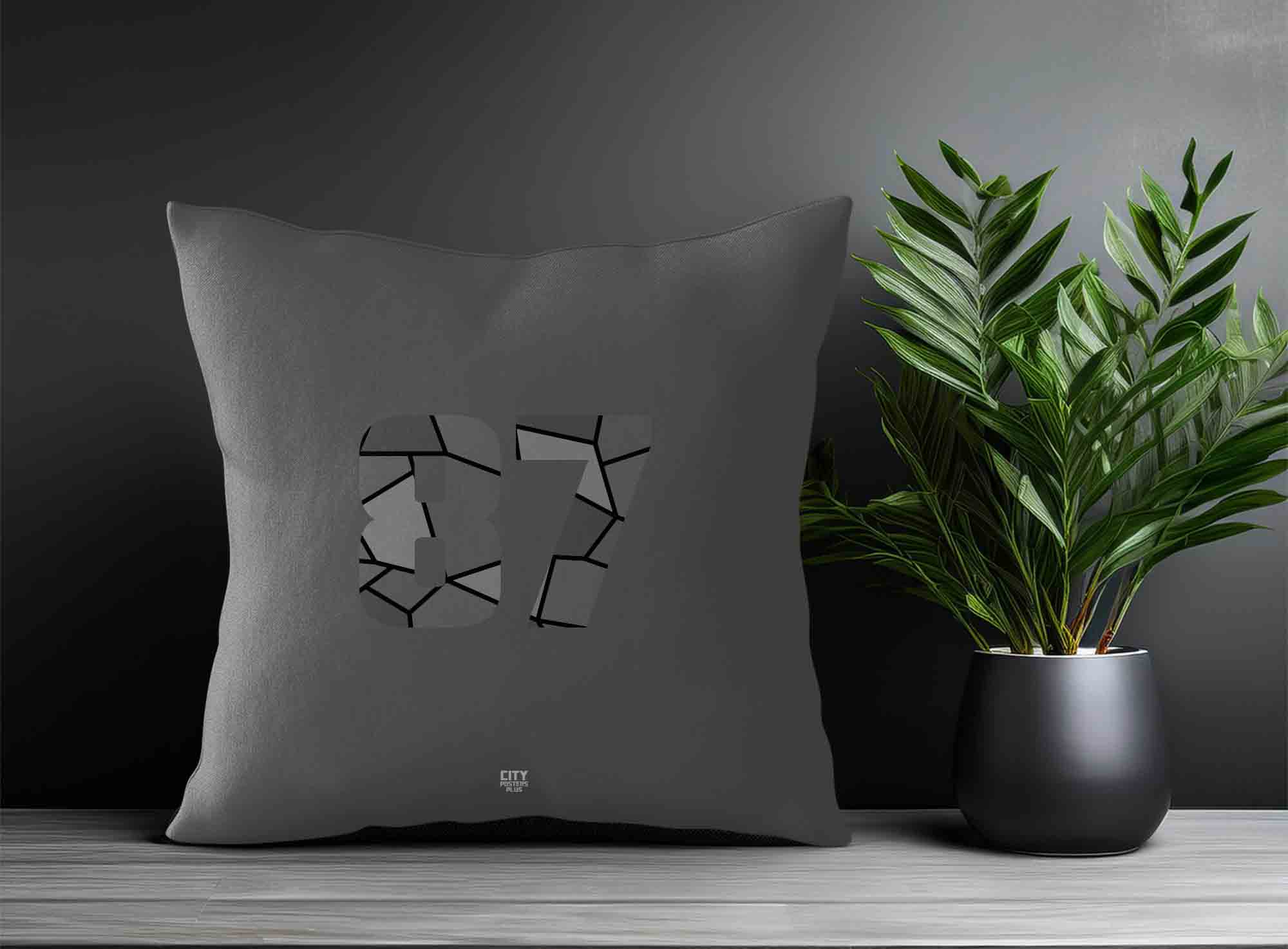 Print Deliver Plus 87 Number Square & Rectangle Pillow Cases