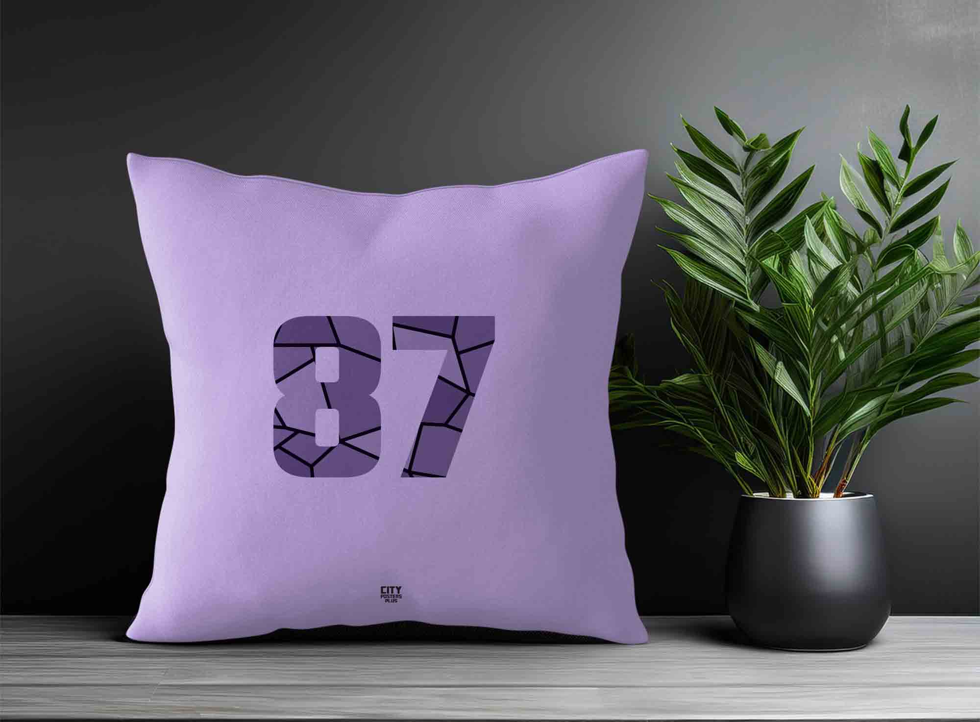 Print Deliver Plus 87 Number Square & Rectangle Pillow Cases