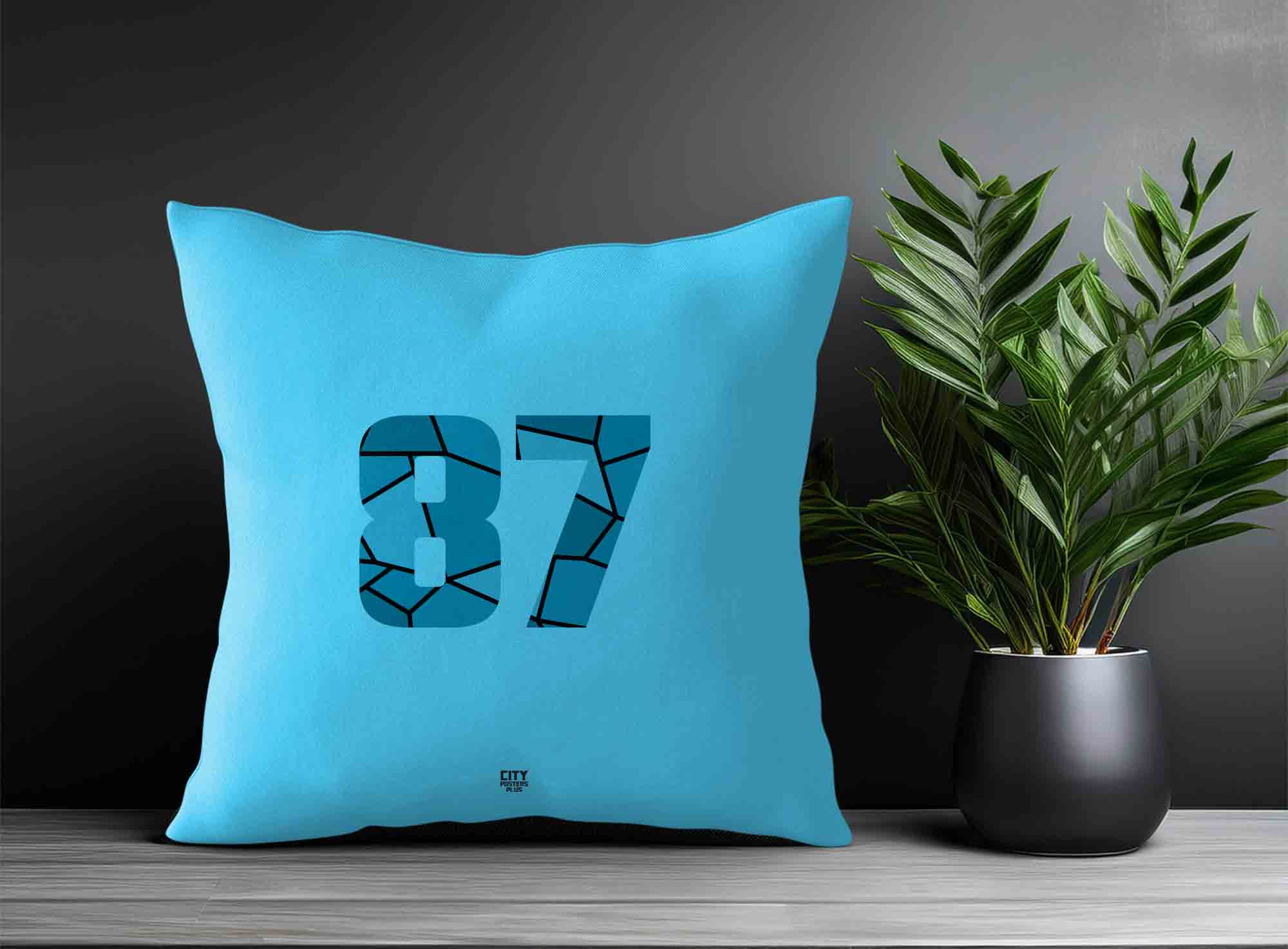 Print Deliver Plus 87 Number Square & Rectangle Pillow Cases